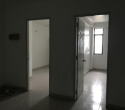 Apartment wanted
